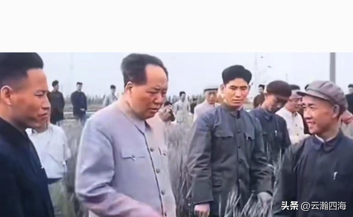 照片背后的故事：这是1960年5月11日，毛泽东主席在郑州东郊人民公社燕庄大队麦