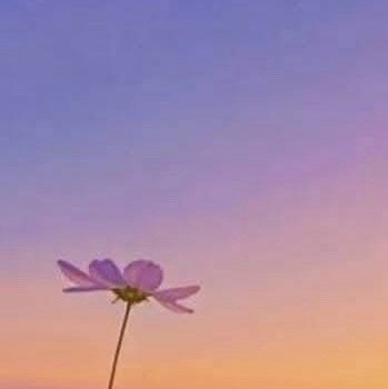 阳光信用  早安☀️，美好的一天开始❤️只要出生在这世上，就一定会有非你莫属的使