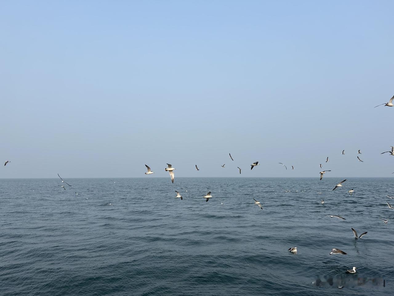 今天，我想分享一次不太成功的工作经历。这不是什么光辉事迹，而是一次实实在在的教训