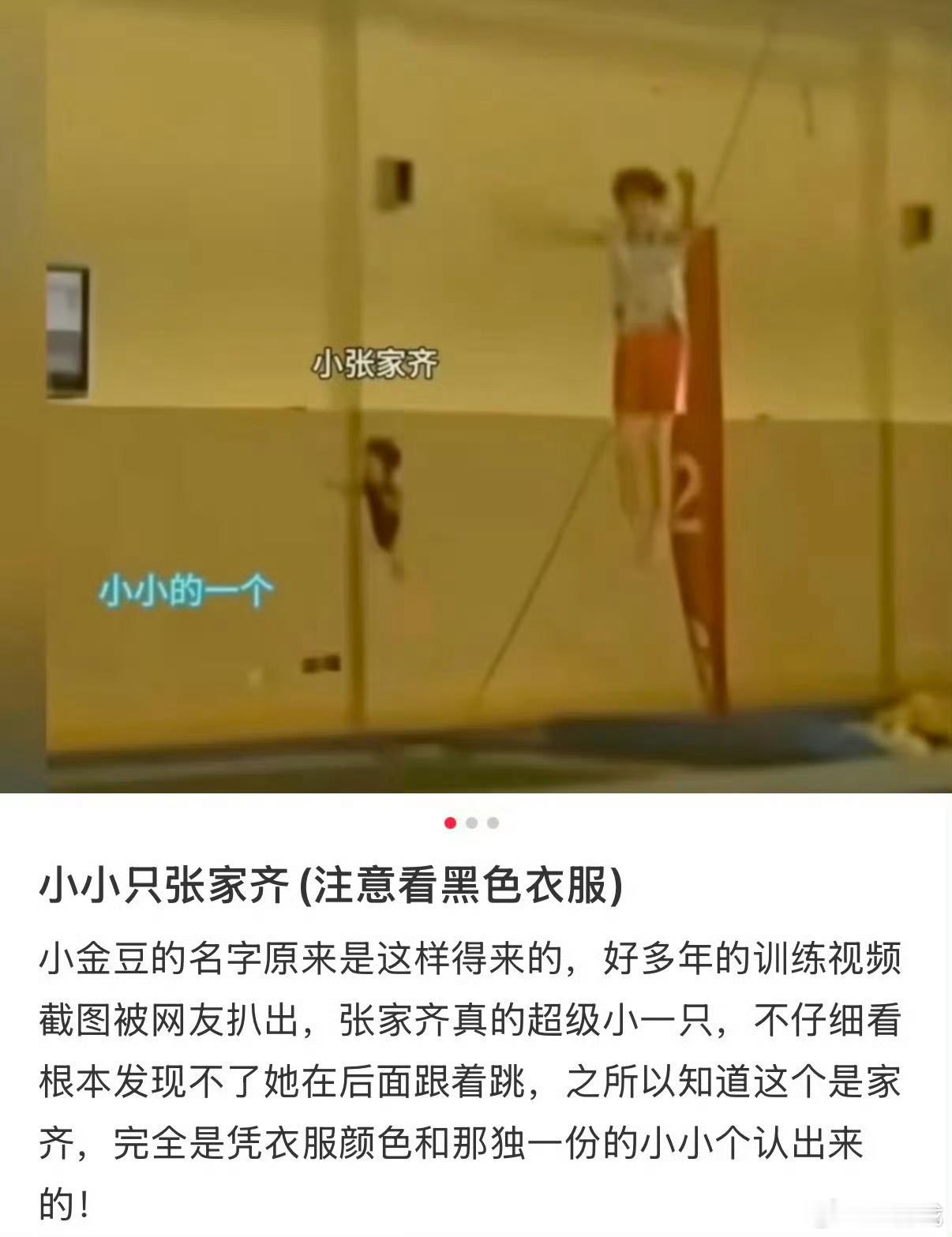难怪张家齐叫小金豆 回看小时候的训练视频，小小的一只格外灵动，终于明白小金豆这个
