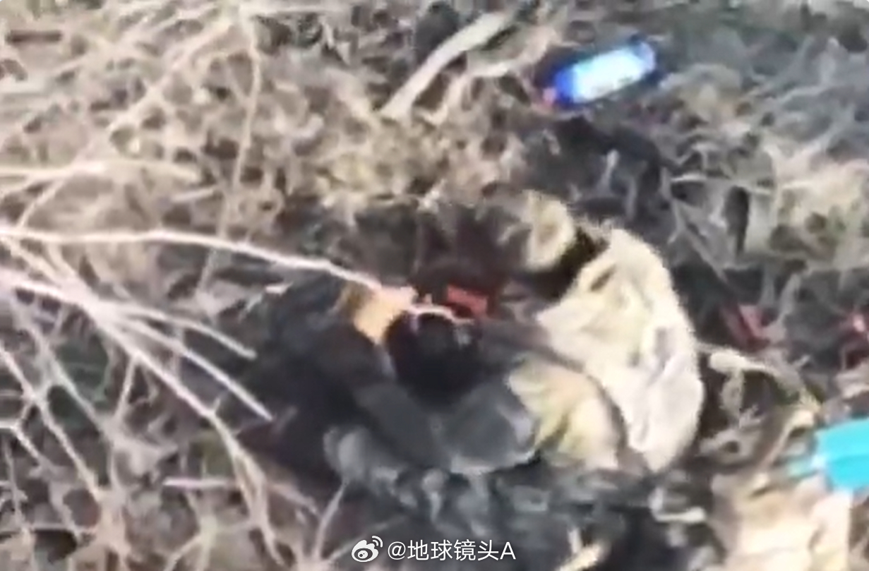 这名俄军突击队员在进攻乌军阵地时被无人机击中右腿被炸至膝盖以下几乎折断。他自行扎