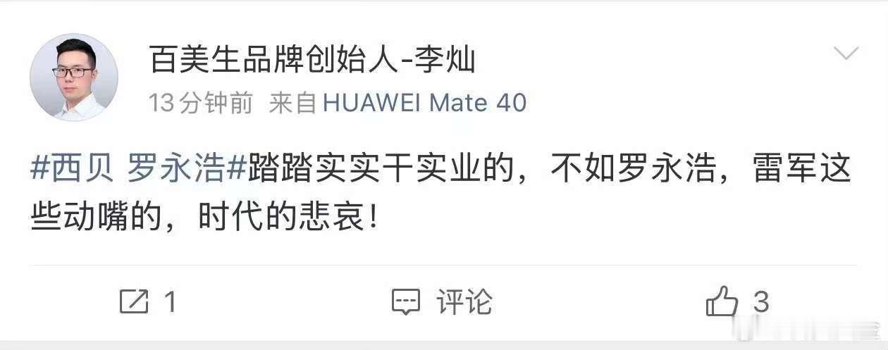 雷总是工程师出身，什么叫动嘴？悲哀什么？