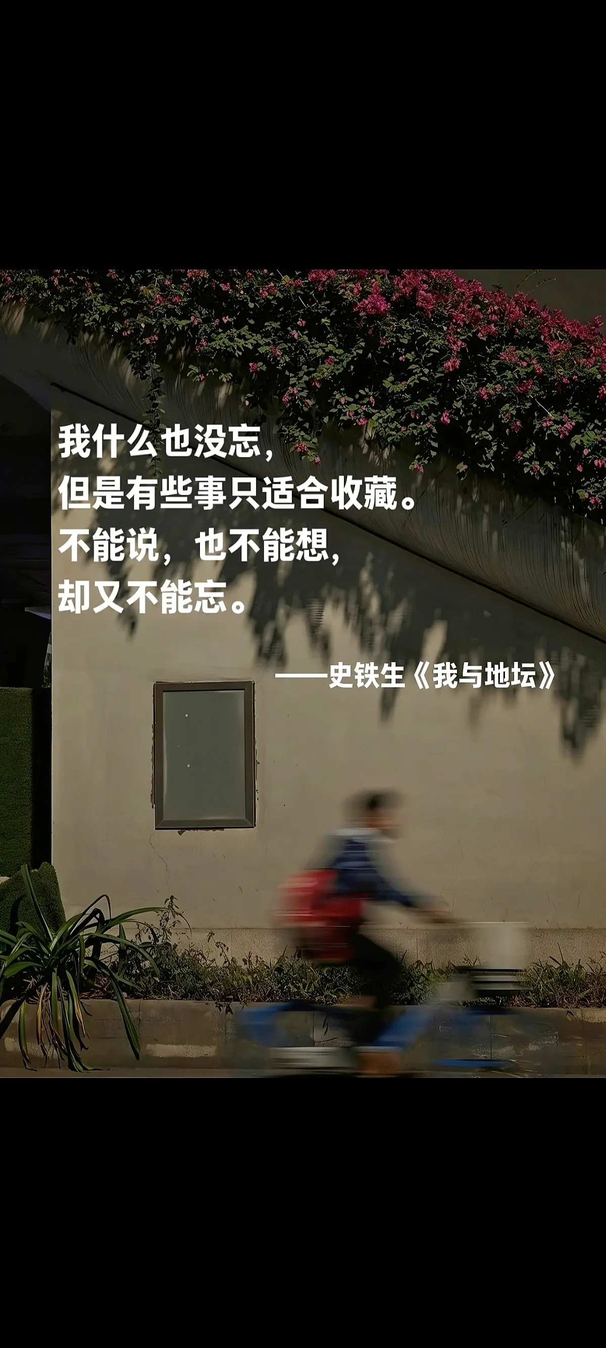 不愧是史铁生的顶级文笔！被深深震撼到！我什么也没忘，但是有些是事只适合...