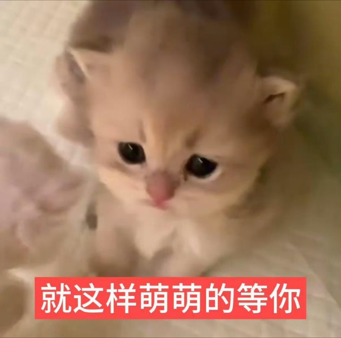 你们都去上学了吗 怎么没人和我互动 ​​​