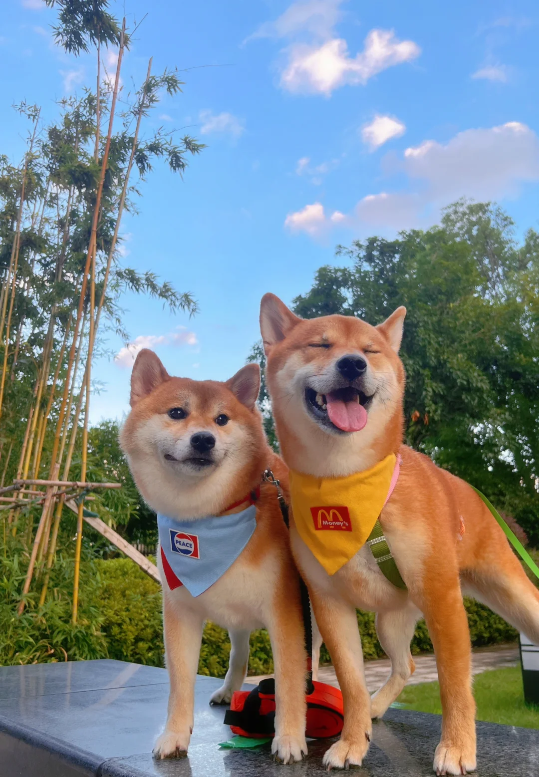 为什么担心闺女喜欢黄毛？黄毛不可爱吗？