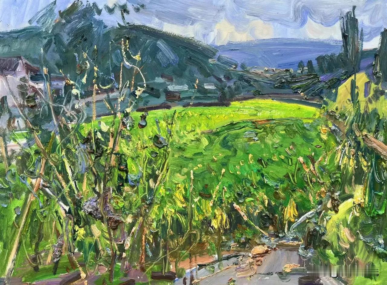 张继渝老师绘画作品欣赏
胡坝村的稻田 80x60cm