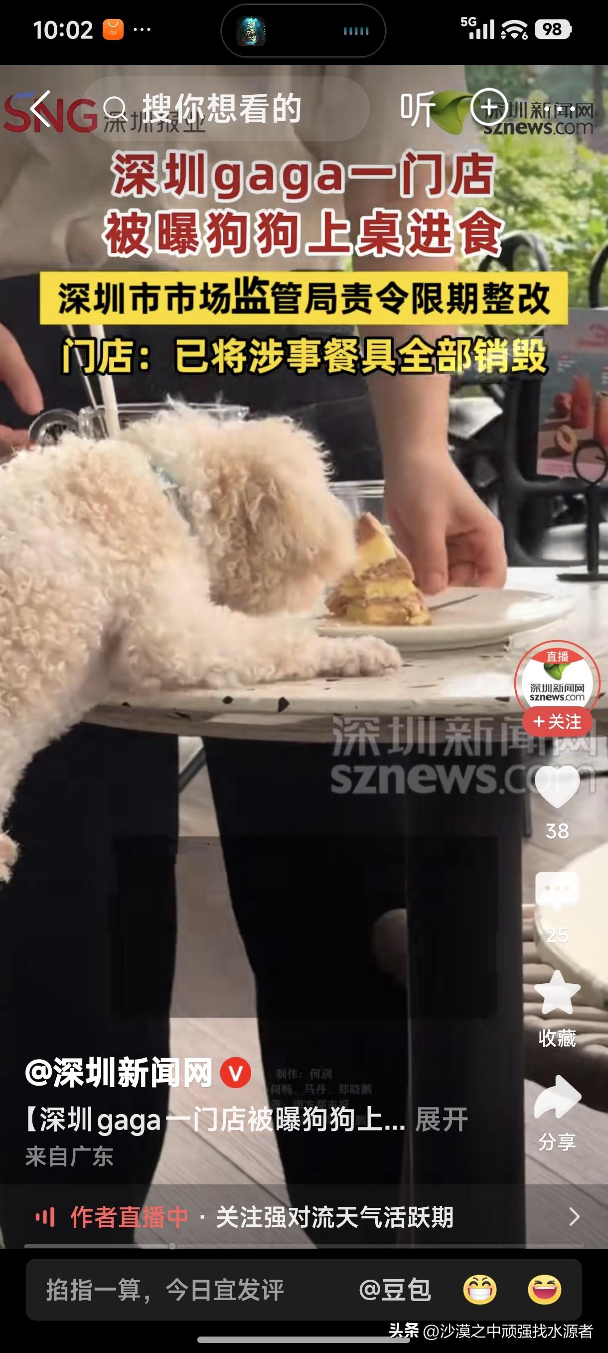 全国各地餐厅只要有人带狗进店吃饭，只要有人把狗上桌用餐厅餐具吃食物的视频发到网上