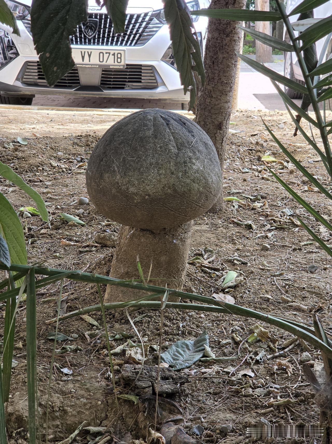 大家猜，这是啥？