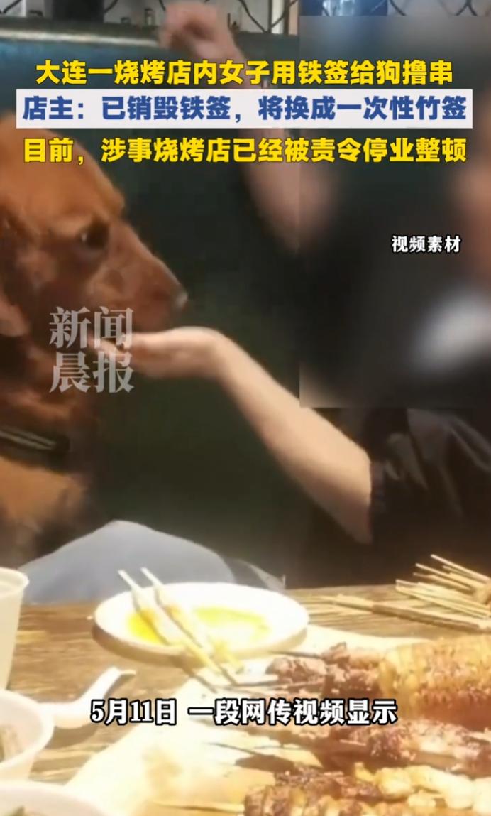 大连一女子用烧烤店公用铁签喂狗，用完放回餐桌，引发全网不满。
 
涉事店家停业整