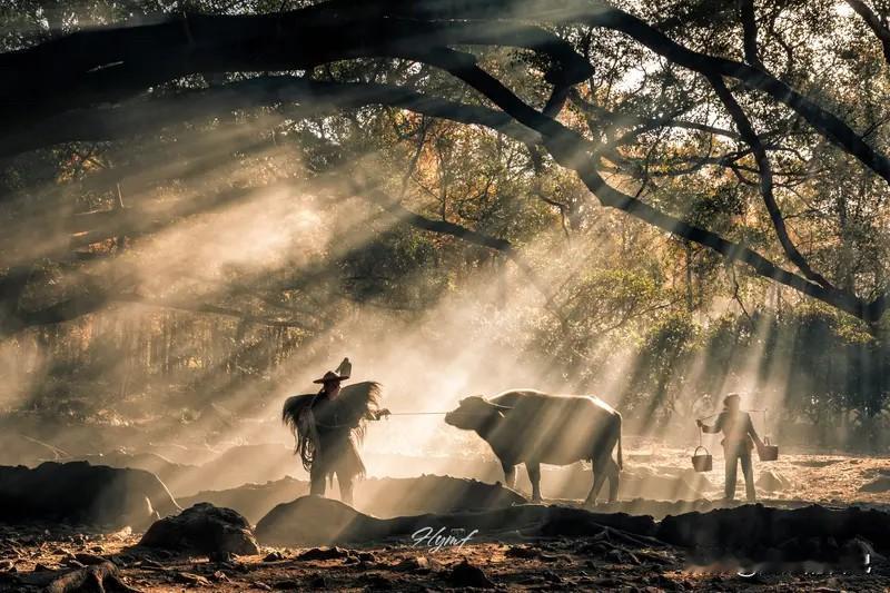 突然发现老杨把他手机里，我的备注改成了朋友，看来我们俩真要到头了。

原来我在他
