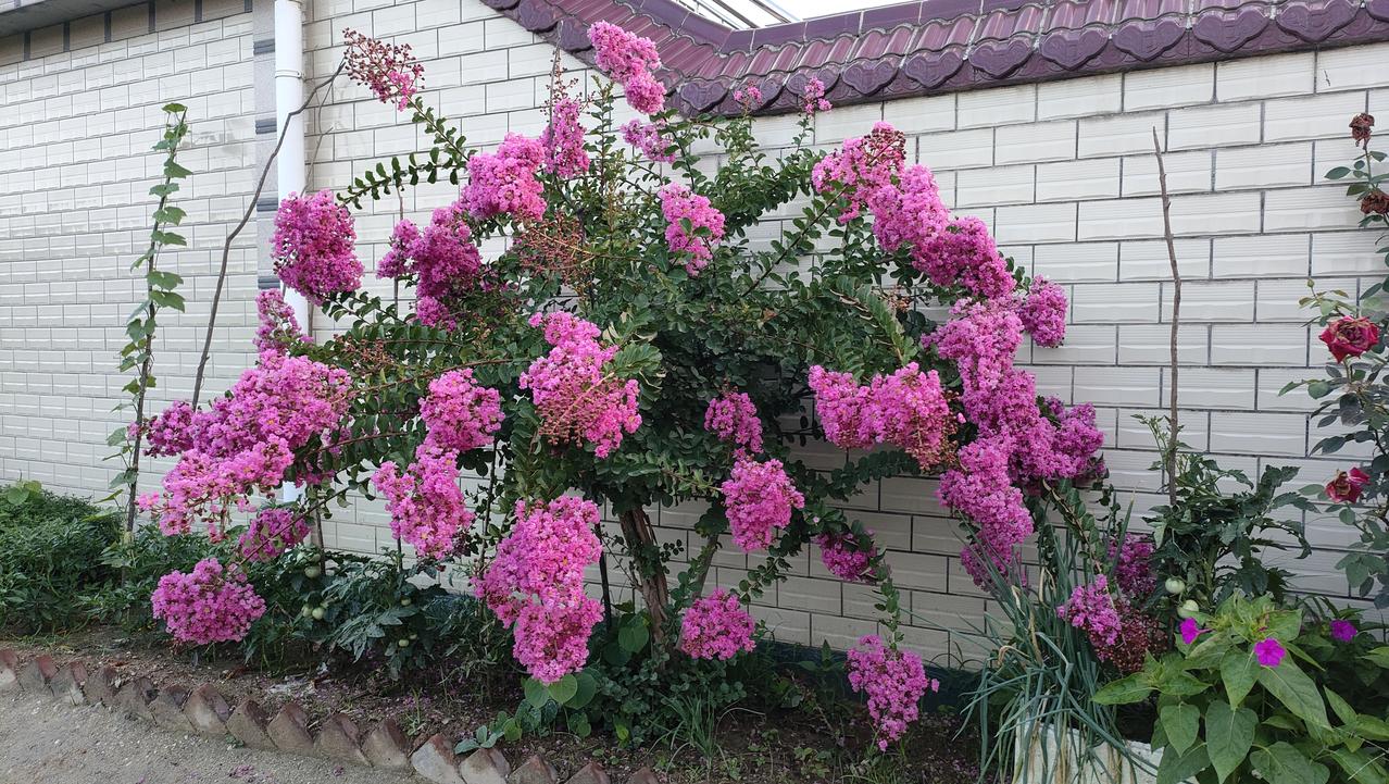 上联：前前后后前后矛盾。敬请应对1. 左左右右左右为难。说明无法回答或不好解决。