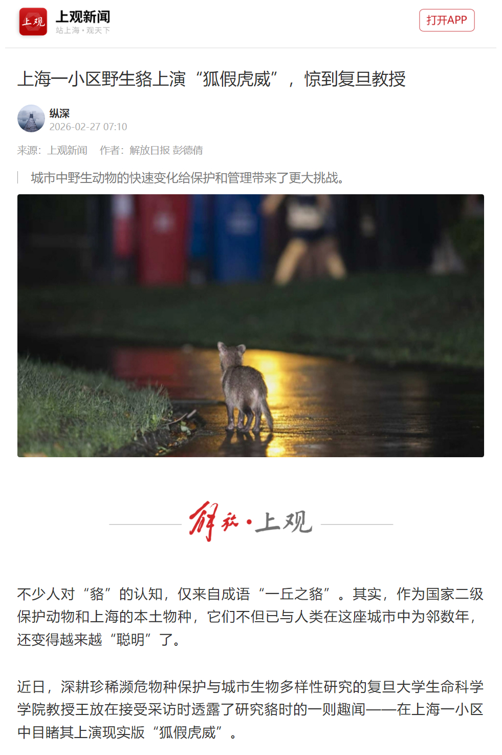 🔻世说新语：貉假虎威🔻看到个新闻说，上海有些地方野生貉局部泛滥，成天在小区里