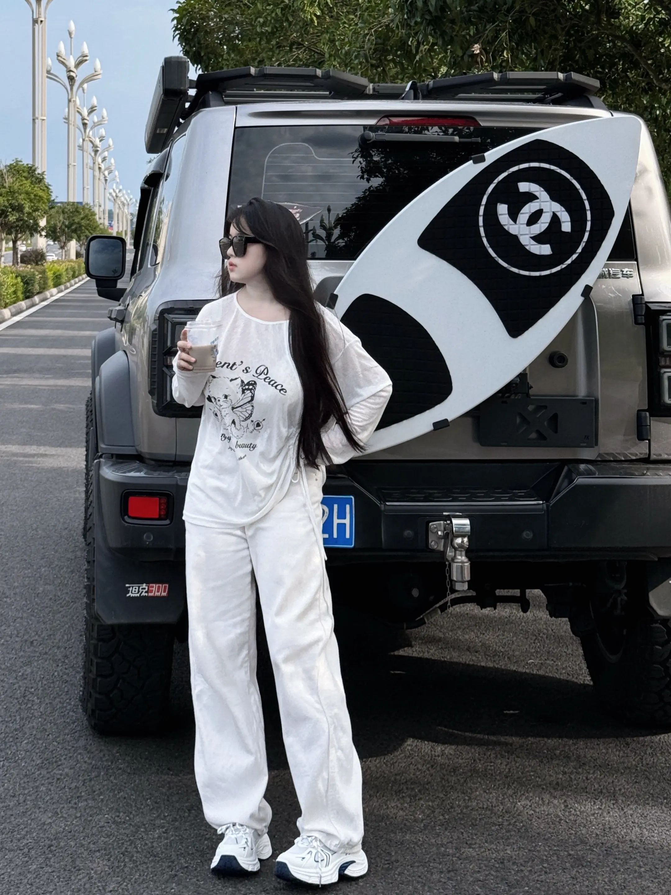 当你拥有一辆坦克300。