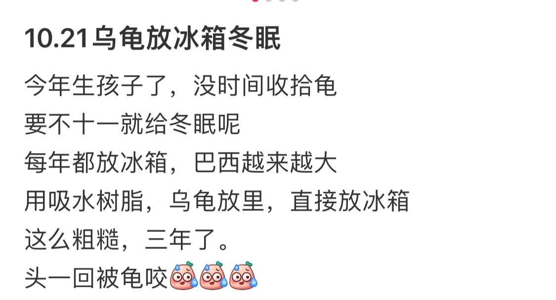 把乌龟放进冰箱冬眠 ​​​