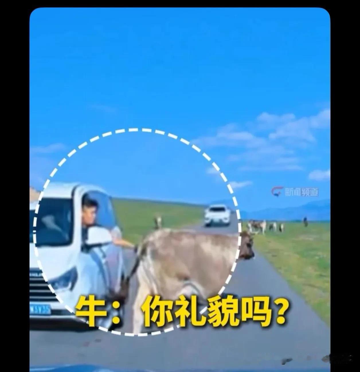 科目一应该在怎么选
正确✔️应该选AD
但我现实选❎BC
这么看来应该还有：E拍