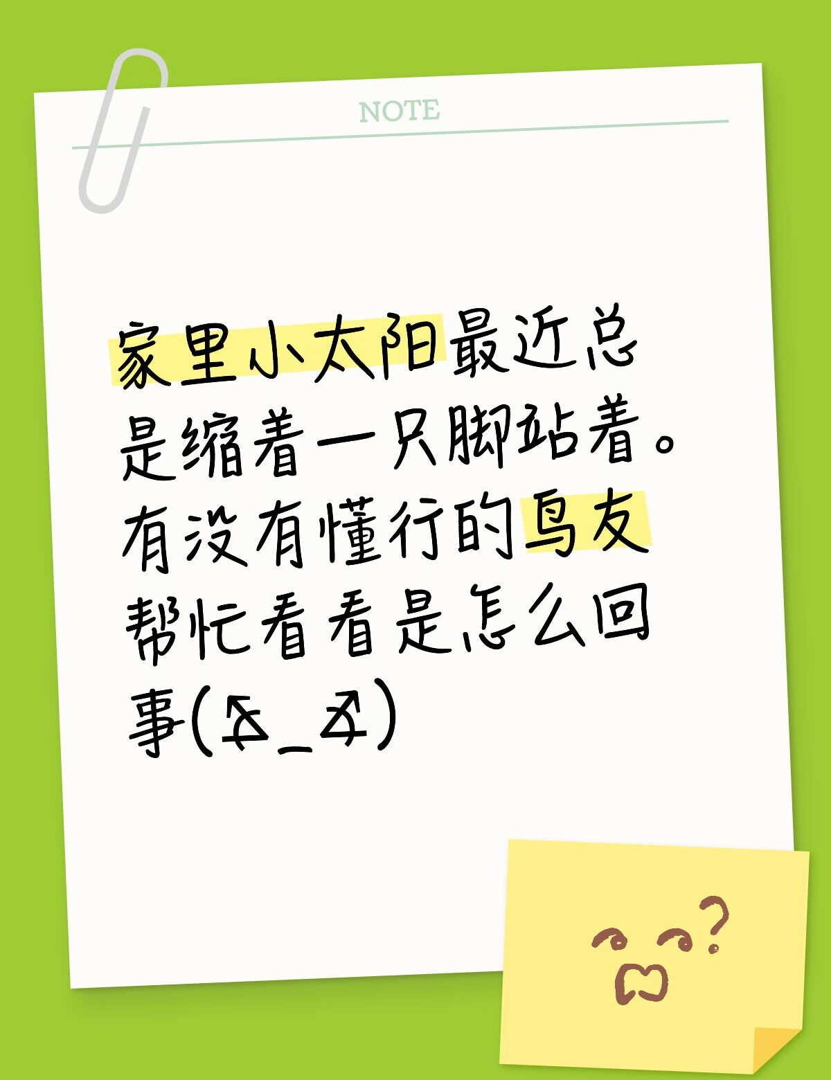 请各位帮忙看看 还有小太阳这种情况应该吃什么药或者怎么治
急急急