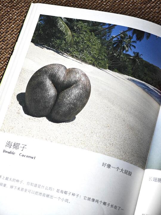 挖到宝了！《儿童纸上纪录片:小自然》