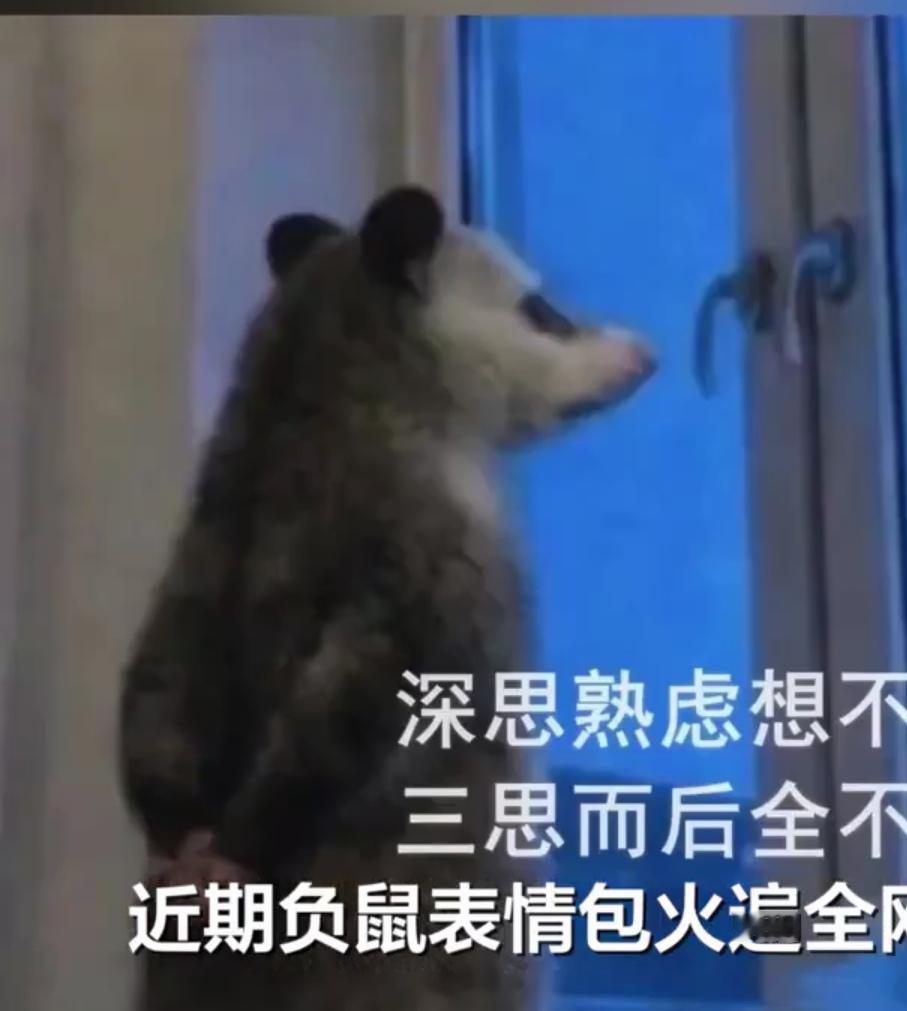 这姿势，得是什么级别？