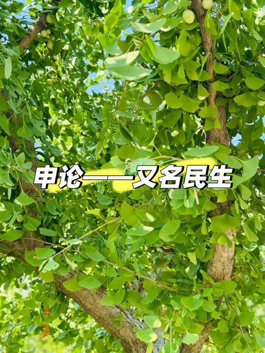 考公的朋友，祝你们一举成名，拿俸禄💰