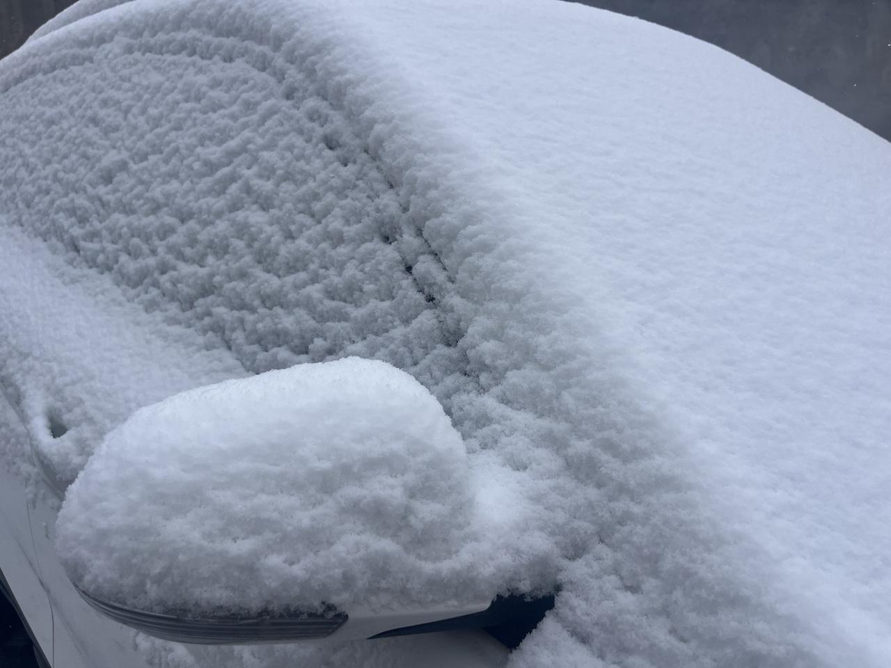 今日天津开学，你的城市下雪了吗？开学季 下雪