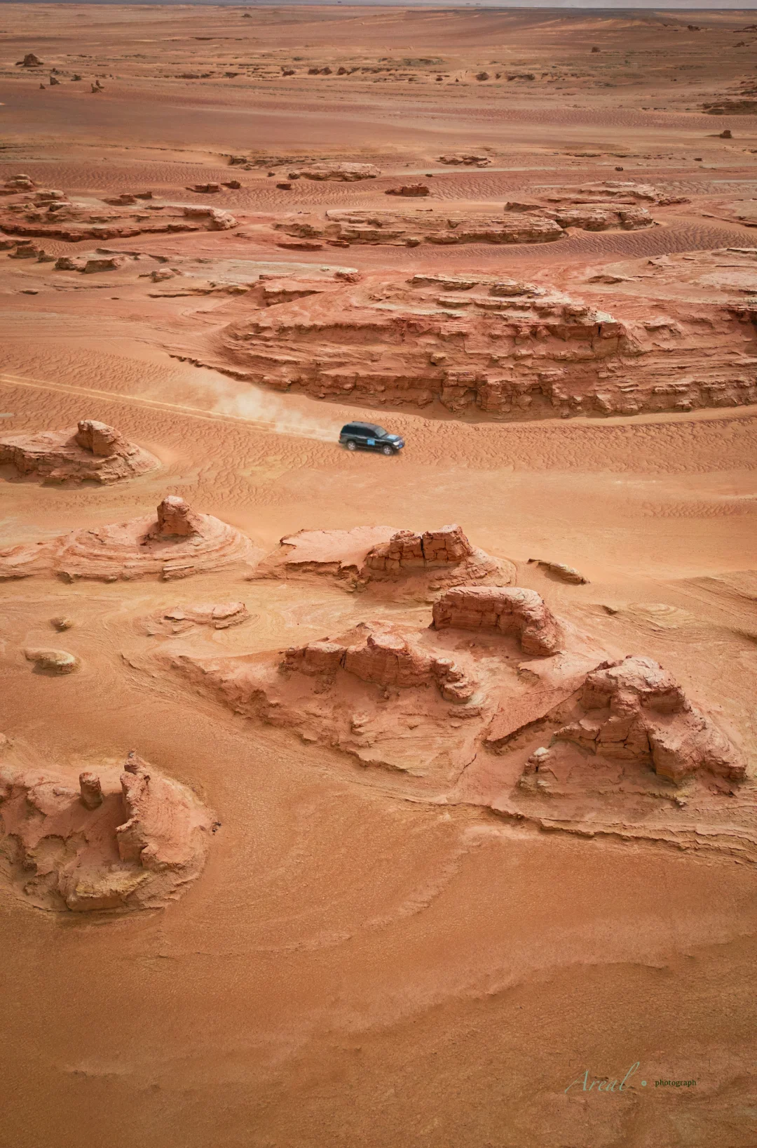 看《生命树》，记忆动了
