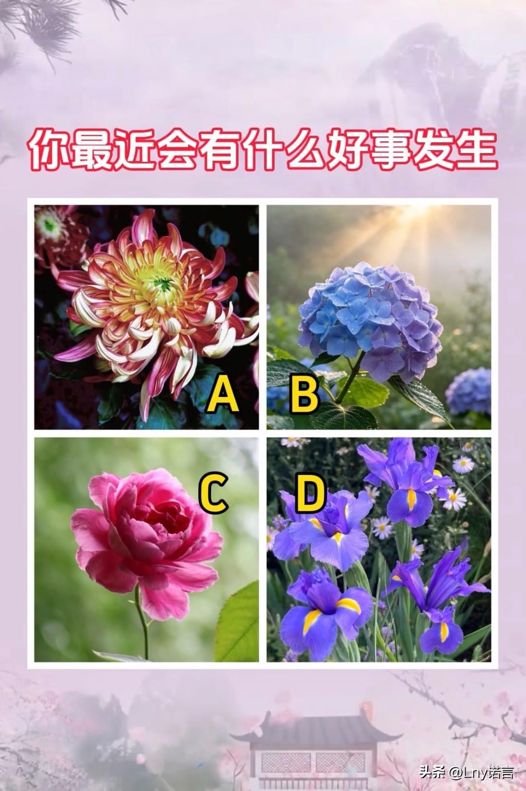 15万内大六座破局者星光L你最近会有什么好事发生