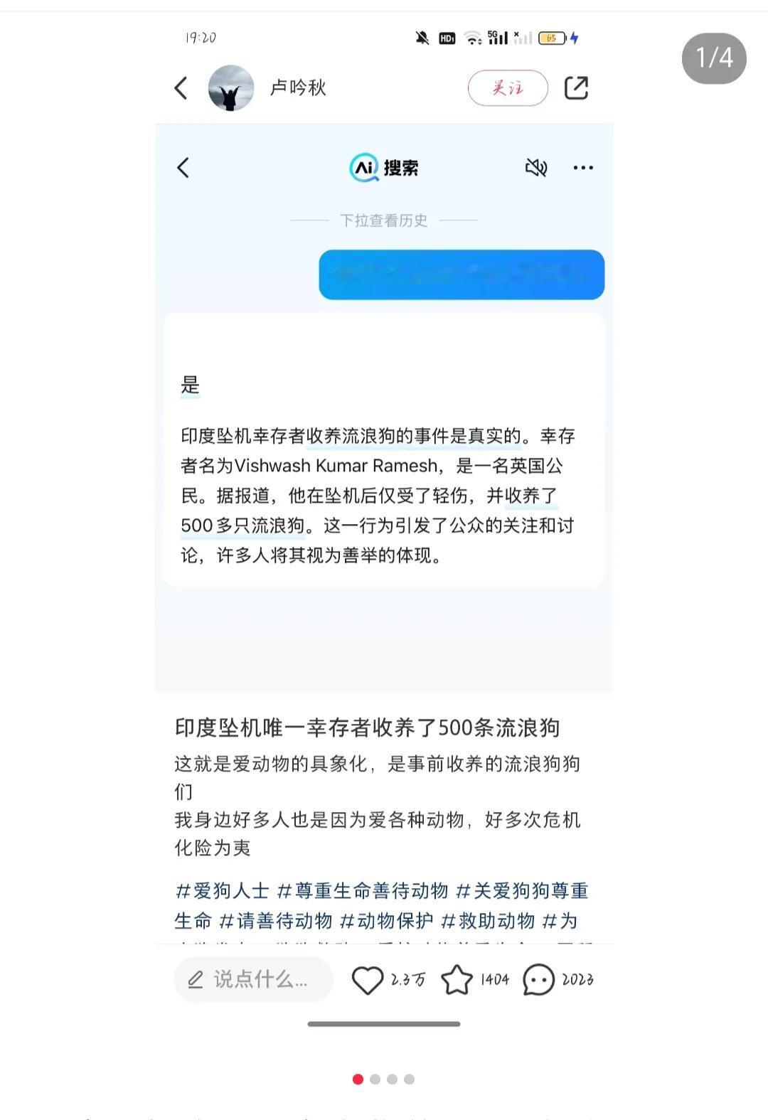 这印度坠机幸存者只有一位，就多了500只被收养的流浪狗。
要是印度坠机事件中无人