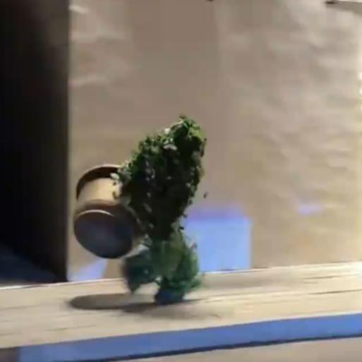 人扮动物觉得不稀罕，没想到第一次看到竟然将人扮成植物。这还是第一次见，并且还上了