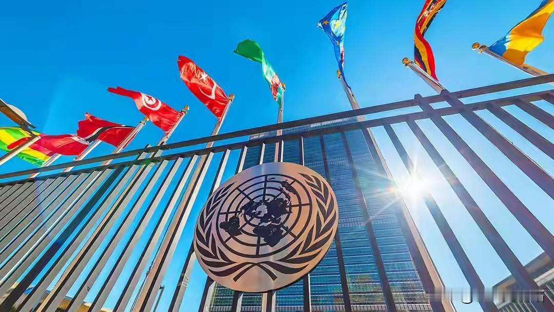 局势大变！近110国力挺中方提案，美国或将被剥夺联合国投票权
 
联合国传来重磅