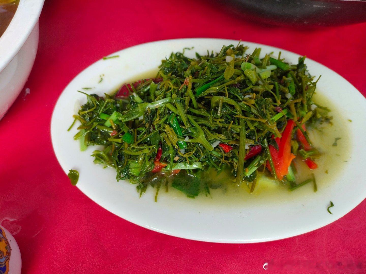 #草本集市##肥猫走南闯北##草本cp##草本多美# 中午次饭，老肥猫水都喝不下