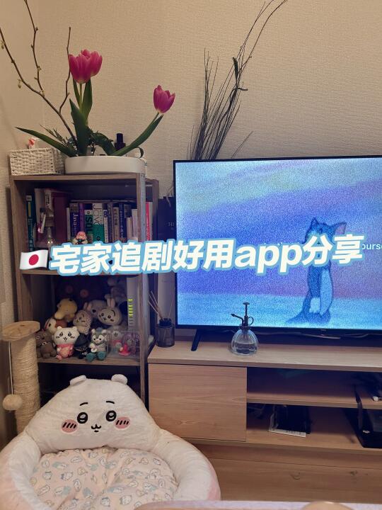 🇯🇵 留子在外打工人的追剧神器！