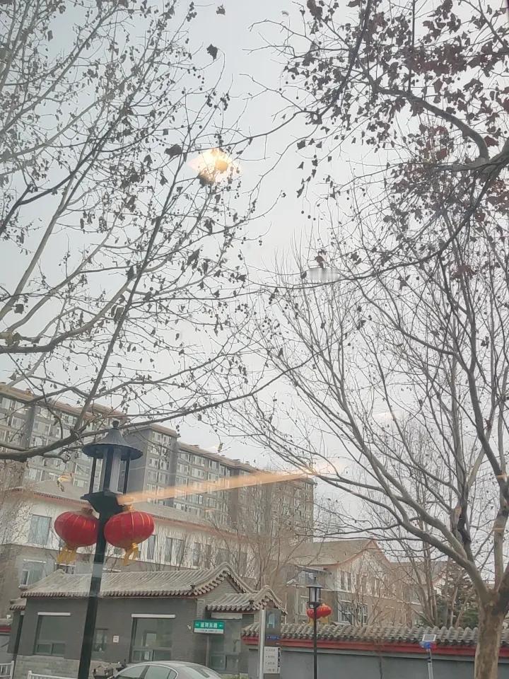 今年冬天的不同