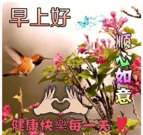 让开心推开清晨的门窗
让快乐迎接灿烂的阳光
让问候送去心中的温暖
让幸福陪伴我们
