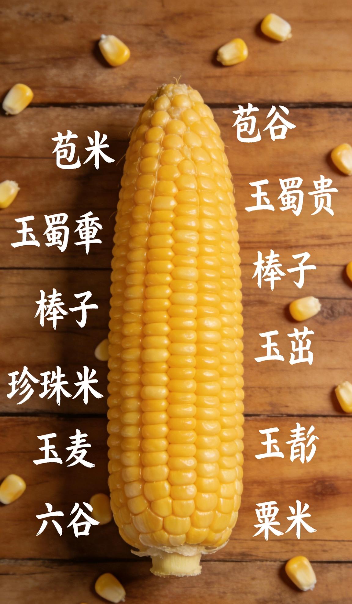 东北喊苞米，川渝云贵叫苞谷，河南山东称玉蜀黍、棒子，山西叫玉茭，江浙沪说珍珠米，