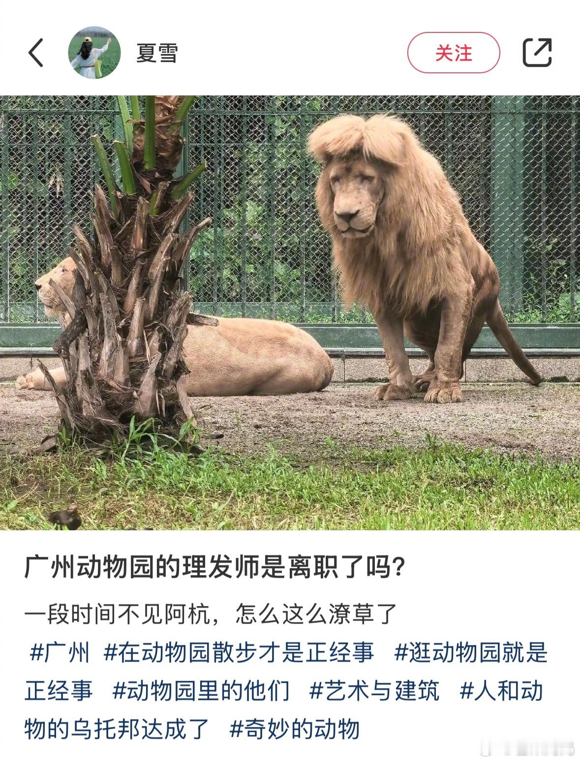 赶紧给孩子理理发吧，快过年了[允悲] 