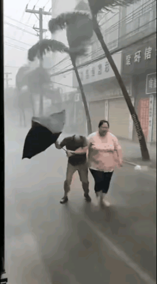 她就是你的避风港，能挡风避雨，撑起了整个家。