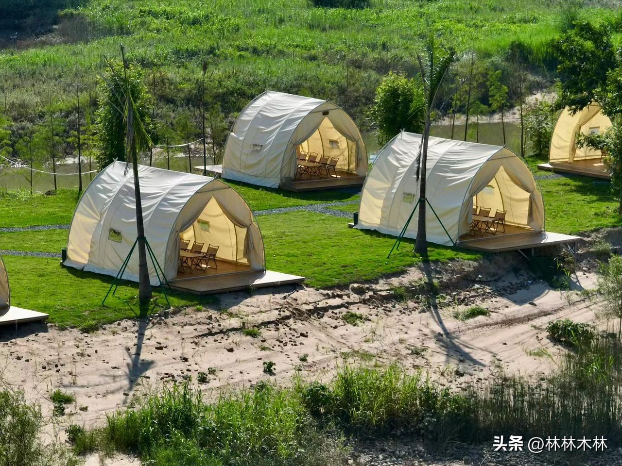 亲戚有时真不如同学朋友管用
给我74岁的老妈买了个新手机
想办理个新手机号
办完