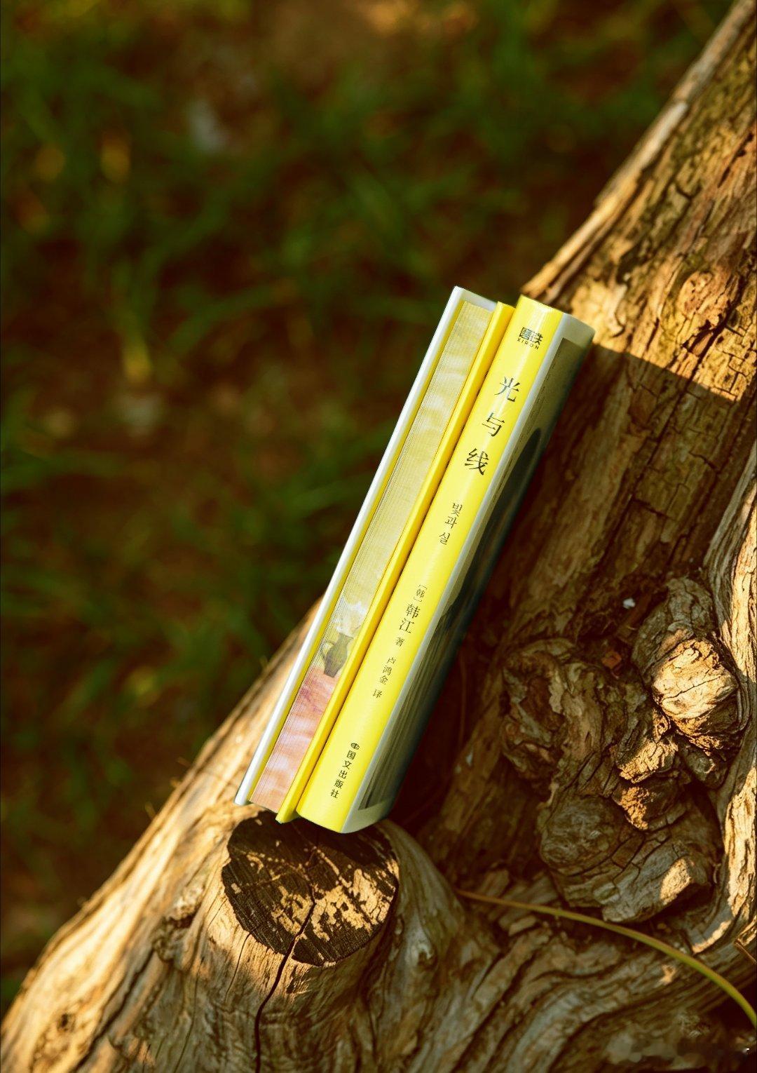 我的私人宝藏书单书评 📚《光与线》出品：★ 亚洲首位女性诺贝尔文学奖得主韩江 