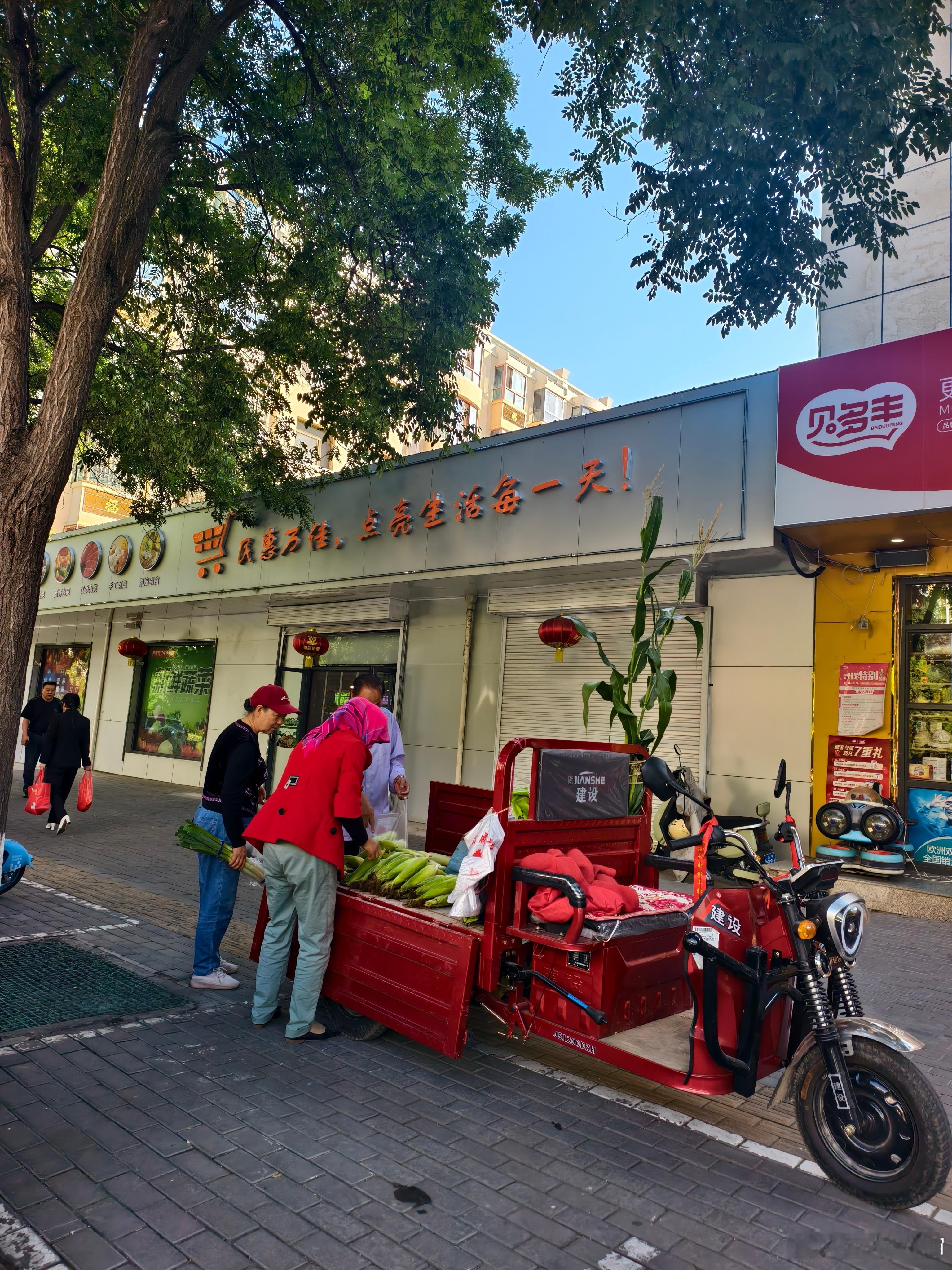 今早在街头看到，一辆三轮车，插两株绿苍苍的玉米，车斗里是生青碧绿的玉米棒子，好几