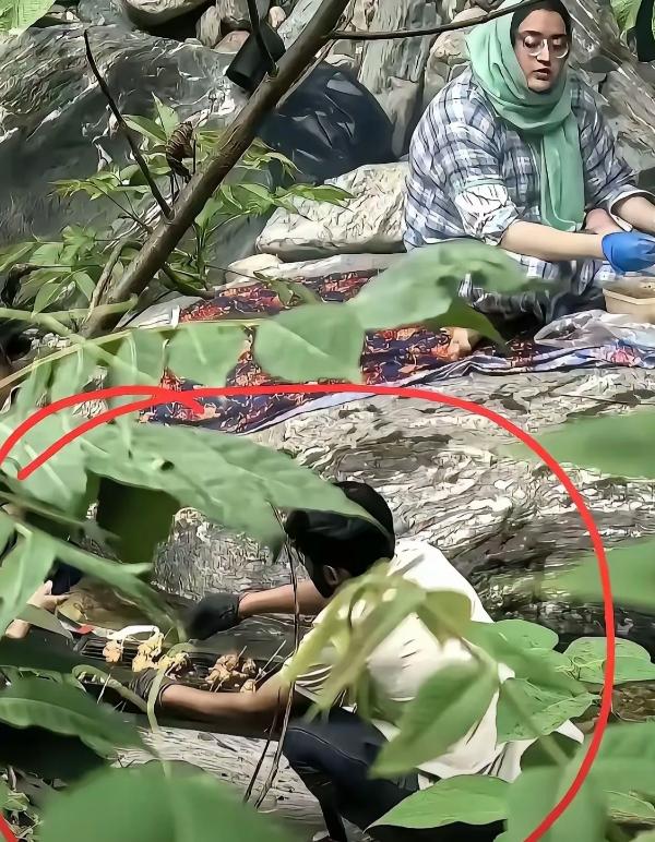 真给人看气闷了，端午秦岭金龙峡藏着几位外籍游客，专门绕开检查卡点钻密林盲区生火烤