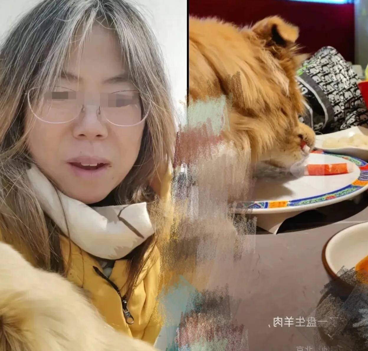 如今对纵容狗上桌舔盘
的那位女士最致命的，
不是面临饭店起诉，也不是平台限流，而