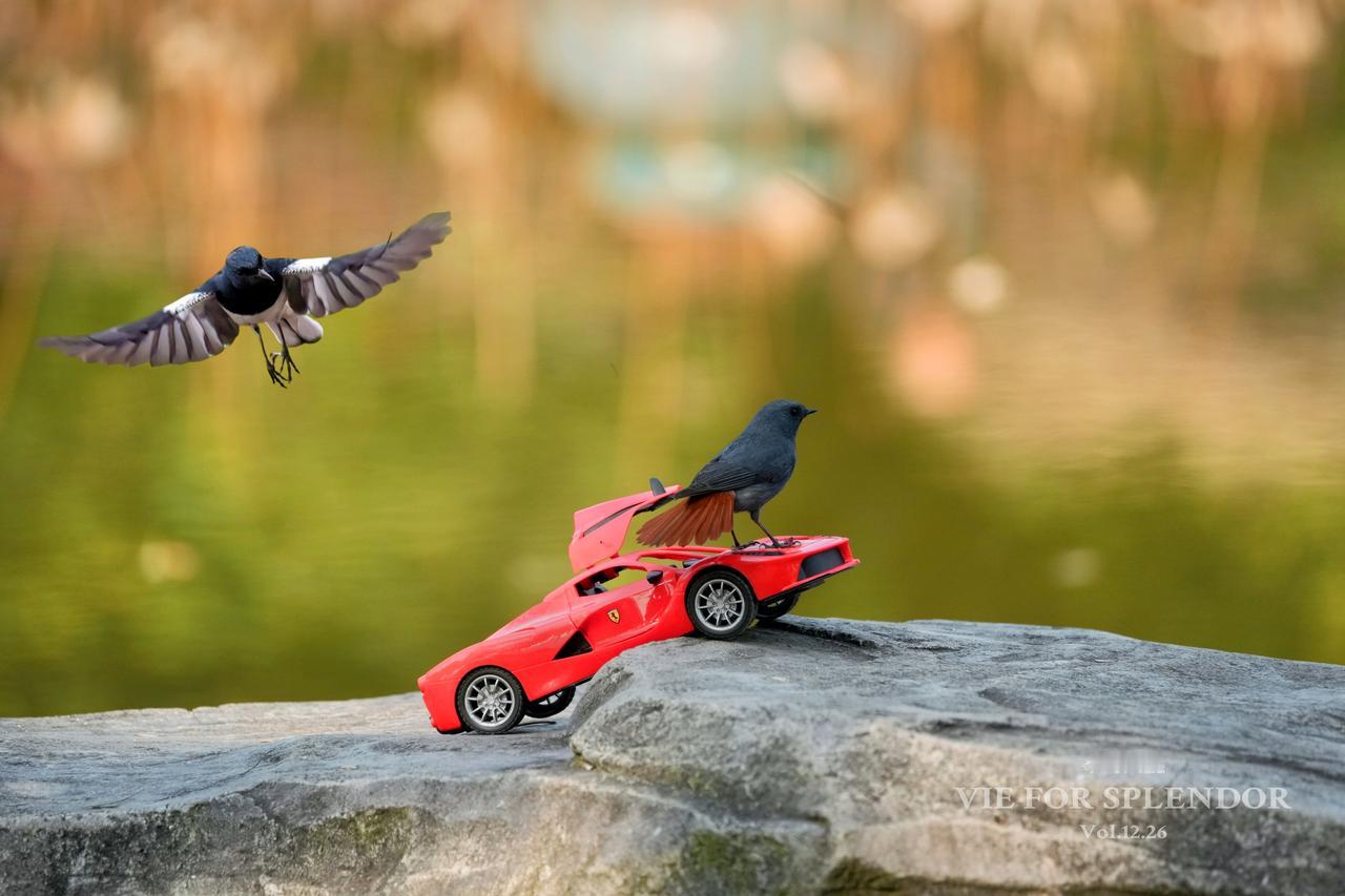 《争奇斗艳》
        以《争奇斗艳》为标题，是对画面内核极具巧思的提炼，