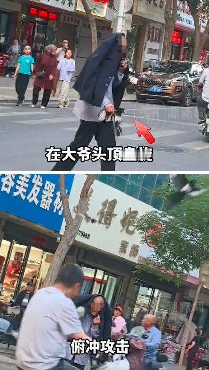 前几天宁夏吴忠街头发生的一幕，看得人又气又解气 —— 一位大爷趁喜鹊亲鸟外出觅食
