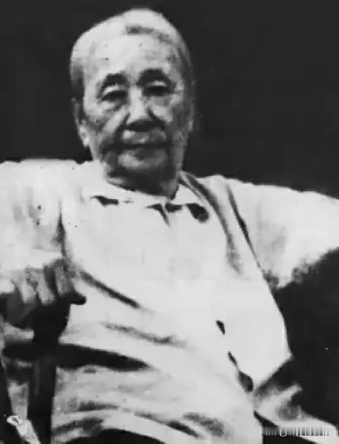 1924年，张作霖8岁儿子被老师打手板，放狠话要杀人，帅府来电让老师愣住
 
1