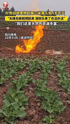 这下科学也解释不清了！近日四川南充，女子晚上正要睡觉发现窗户中透出红光，刚出门就