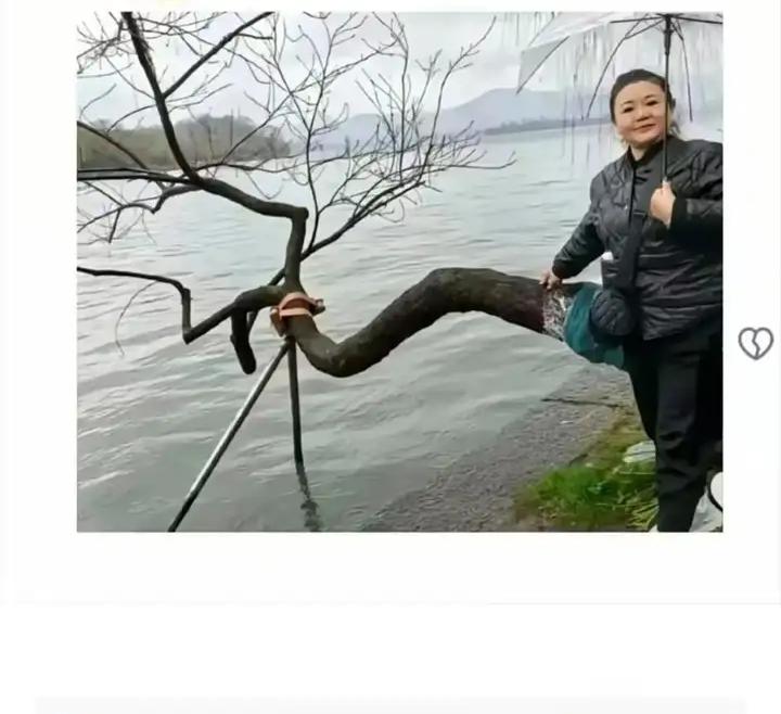 雨中漫步，撑伞漫步在湖边，感受自然的宁静与美好。