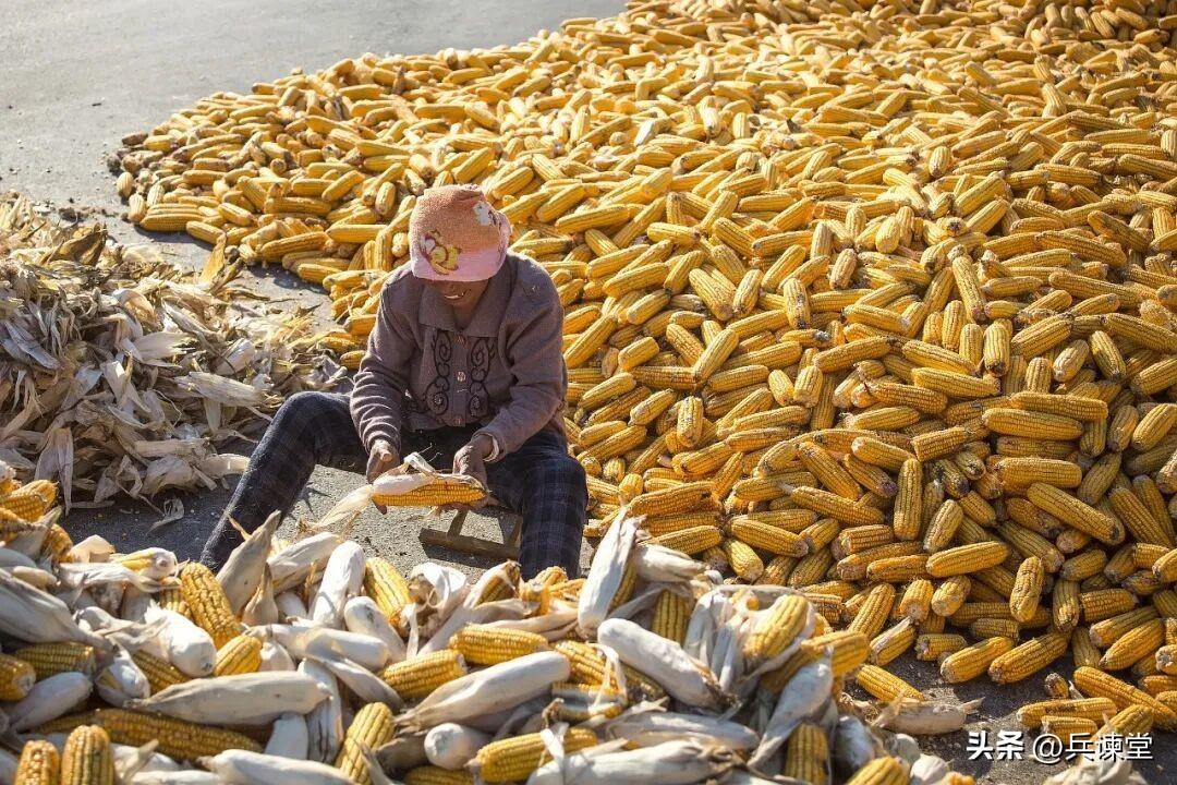 为何没缴纳养老保险的农民，也应该享受高覆盖的养老金？建国后的30年，是中国农民以