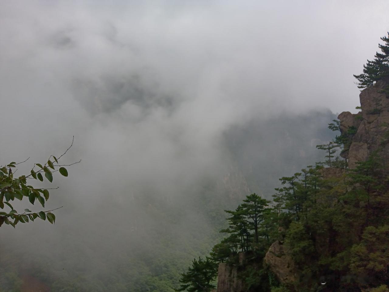 大学生失联坠崖再此警示，夏季千万不要到未开发的深山徒步，毕竟父母恩如山，生命大于