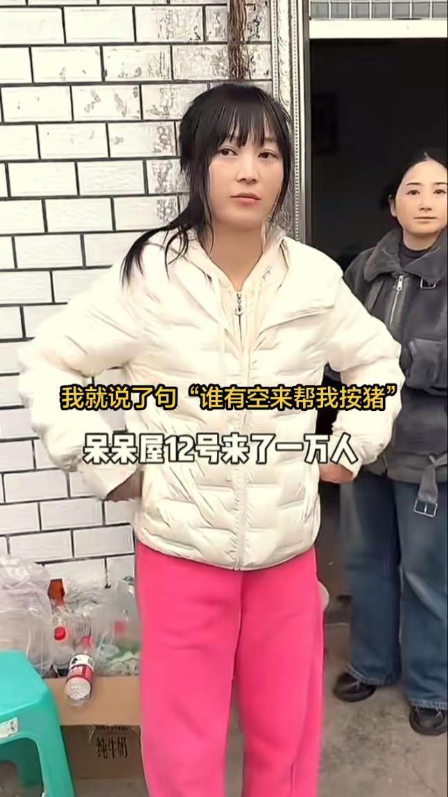 明星的账可以不买，但是人间烟火气必须支持呆呆 呆呆凭一己之力让合川火起来了 内容