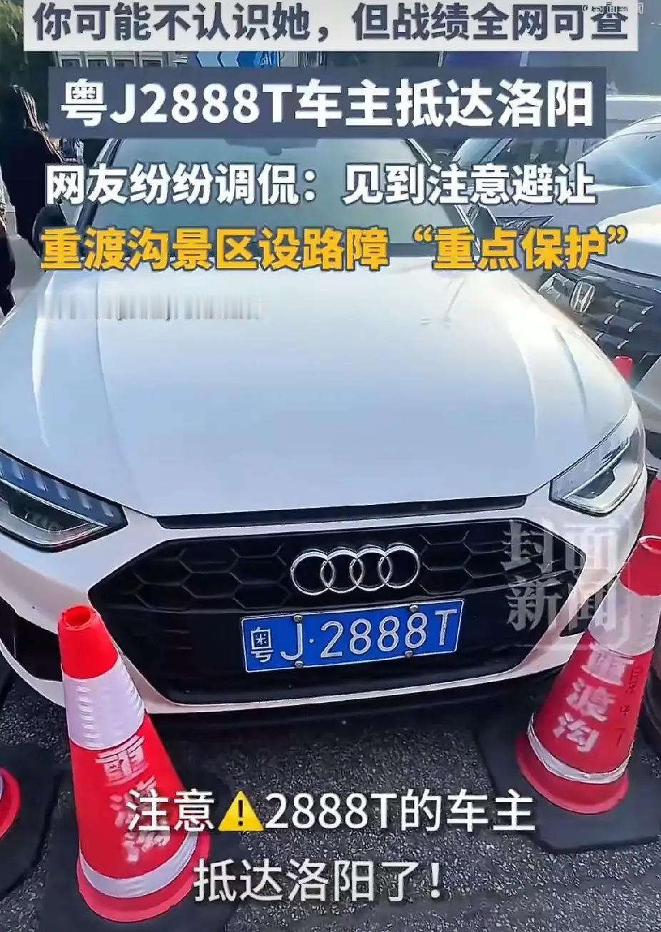 “马路甲级战犯”战绩再刷新！景区紧急拉雪糕筒把她车围了😭

这次不是死胡同，是